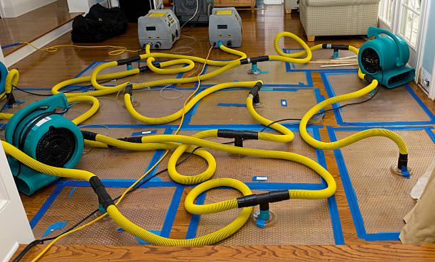 Professional Flood Damage Restoration technician working in La Farge, WI